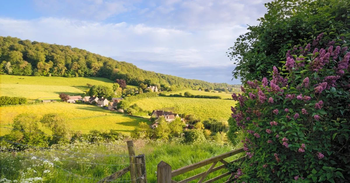 stroud valley view, conscious dance retreat
