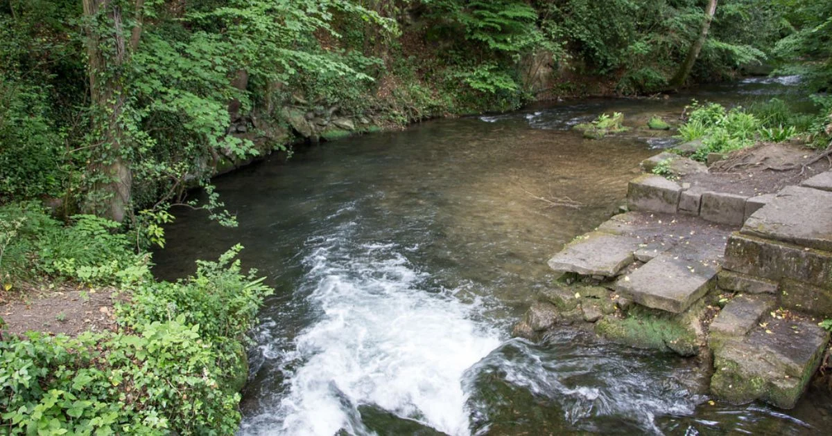 frome river stroud, embodied leadership retreat